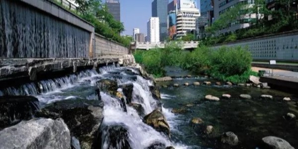 河道景觀設(shè)計秘籍：駁岸、親水、綠化、綜合治理、生態(tài)修復(fù)及植物選擇