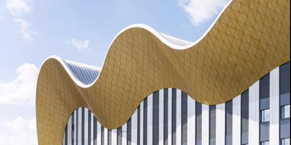 所有圖紙合成一個(gè)“超模型”，莫斯科藝術(shù)體操中心設(shè)計(jì)BIM解析