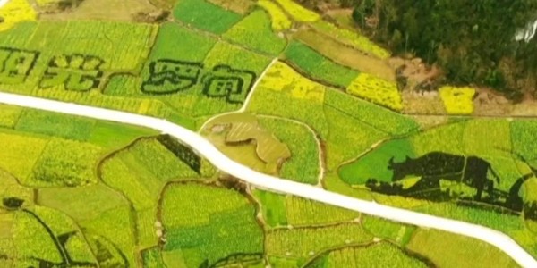 土地的涅槃｜全域土地綜合整治為何爆火？設(shè)計(jì)院如何搶占風(fēng)口？